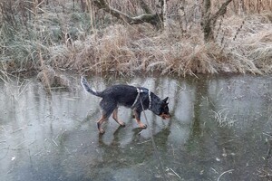 Soran Bart: het landschap is wit