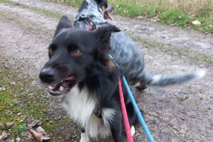 Ava Kira en Flynn: Maastricht 