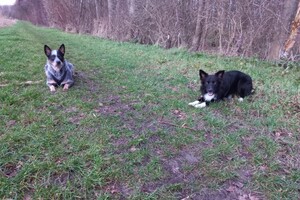 Ava Kira en Flynn: weer terug van vakantie week