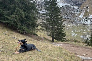 Ellis Coco: uit logeren