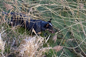 Abby lavie: Lekker erop uit