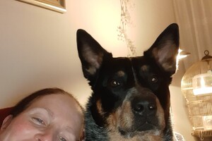 Soran Bart: Lekker kroelen