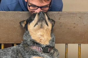 Abby lavie: schattige foto's 