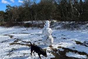 Ellis Coco: op vakantie geweest