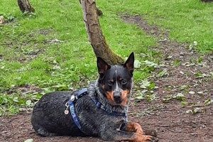 Soran Bart: eerste paasdag 