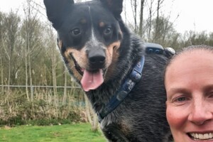 Soran Bart: tweede keer speeltuin