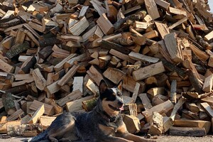 Abby lavie: op de boerderij 