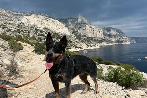 Ellis Coco: op vakantie geweest