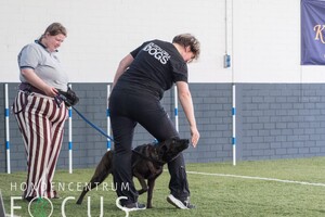 Bucky: hondenschool jaar 2022