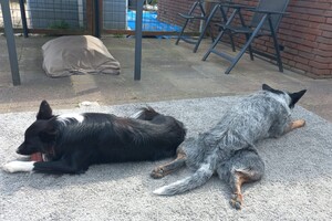 Flynn en Ava Kira: fotogeniek op de foto