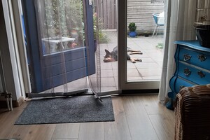 Soran Bart: het is warm 