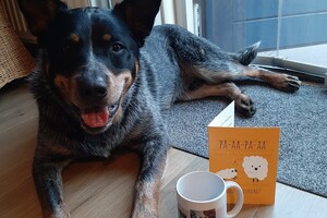 Soran Bart: vader en moederdag vieren