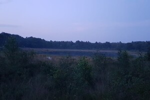 Vida: rennen met Harry 