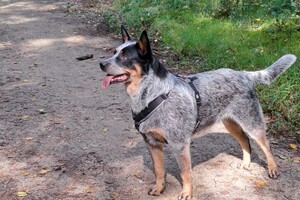 Ava Kira en Flynn: op vakantie