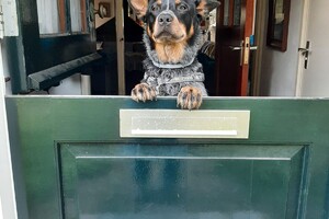 Soran Bart: op vakantie