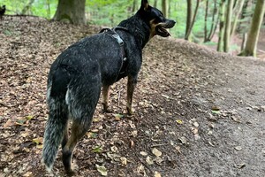 Ellis Coco: op vakantie in Kopenhagen.