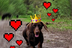 Manfred: ik ben jarig vandaag 