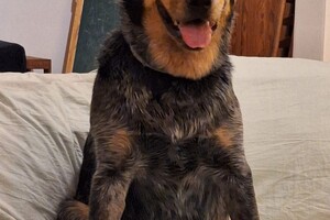 Soran Bart: op vakantie