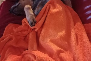 Ava Kira: genieten op de bank