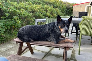 Ellis Coco: op vakantie geweest in Vlieland