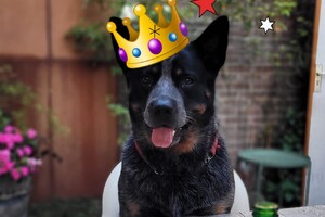 Ezran Dundee: ik ben jarig