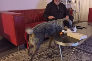 Ava Kira: jarig zijn is leuk