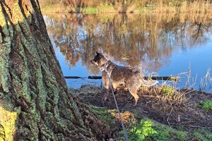 Soran Bart: erop uit