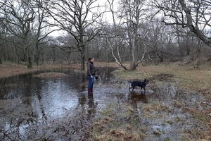 Soran Bart: onze kerstkaart