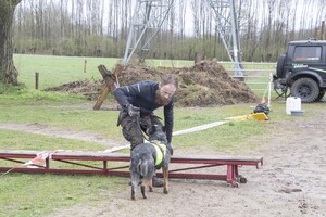 Yada: hondenschool jaar 2022