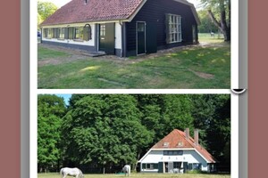 Soran Bart: bij de paarden