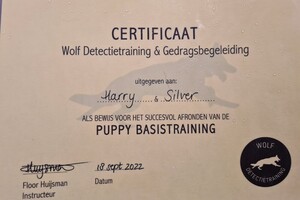 Silver: hondenschool jaar 2022