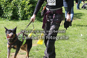 Dogsurvival Achterhoek 