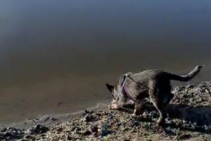 Soran Bart: eerste waterlating 