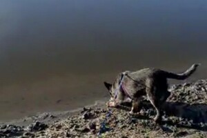 Soran Bart: eerste waterlating 