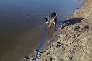 Soran Bart: eerste waterlating 