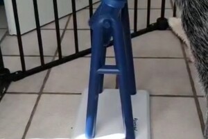 Trixie Dog Activity Turn Around