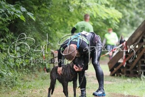 Silver: hondenschool jaar 2022