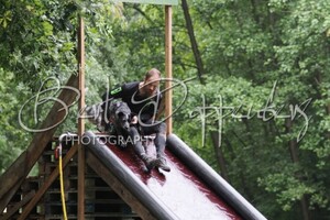 Bucky: hondenschool jaar 2022