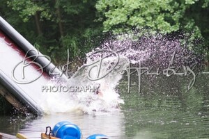 Silver: hondenschool jaar 2022