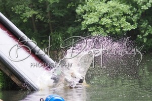 Bucky: hondenschool jaar 2022