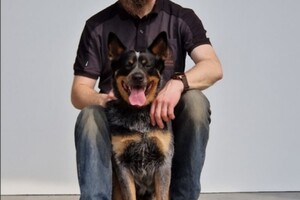 Vida: langs de kermis