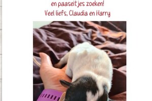 (4 april) Vrolijk Pasen!