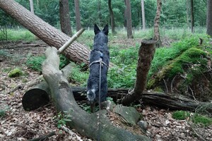 Soran Bart: vakantie in Harderwijk