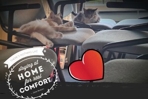 Clémentine 16 mei 2021