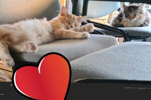 Clémentine 16 mei 2021