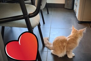 Clémentine 16 mei 2021