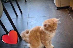 Clémentine 16 mei 2021