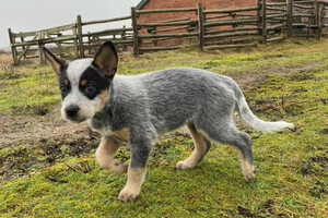 Kijk, daar moeten ze straks in! Als we ze ooit kunnen vinden, :). Gelukkig hoeft dit vandaag niet. 